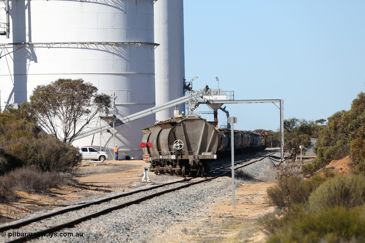 130703 0125
Murdinga, loading of grain from the Ascom out loading spout, looking south from Railway Tce. [url=https://goo.gl/maps/cY3UB7Z7a5uRhPZf9]Geo location[/url]. 3rd July 2013.

