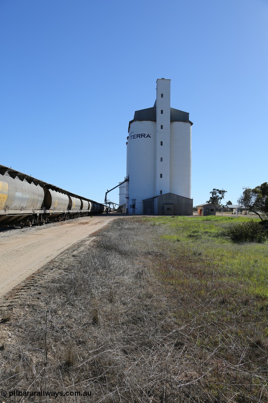 130703 0150
Murdinga, view looking north at the eight cell concrete silo complex built by SACBH with the Ascom silo visible behind and train being loaded in the siding. [url=https://goo.gl/maps/WFRgXQam4P4REFzu6]Geo location[/url]. 3rd July 2013.
