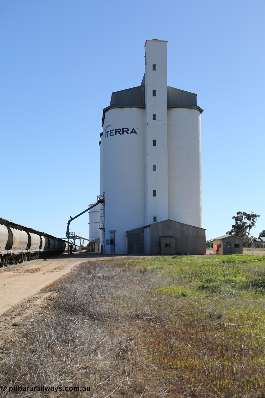 130703 0151
Murdinga, view looking north at the eight cell concrete silo complex built by SACBH with the Ascom silo visible behind and train being loaded in the siding. [url=https://goo.gl/maps/WFRgXQam4P4REFzu6]Geo location[/url]. 3rd July 2013.
