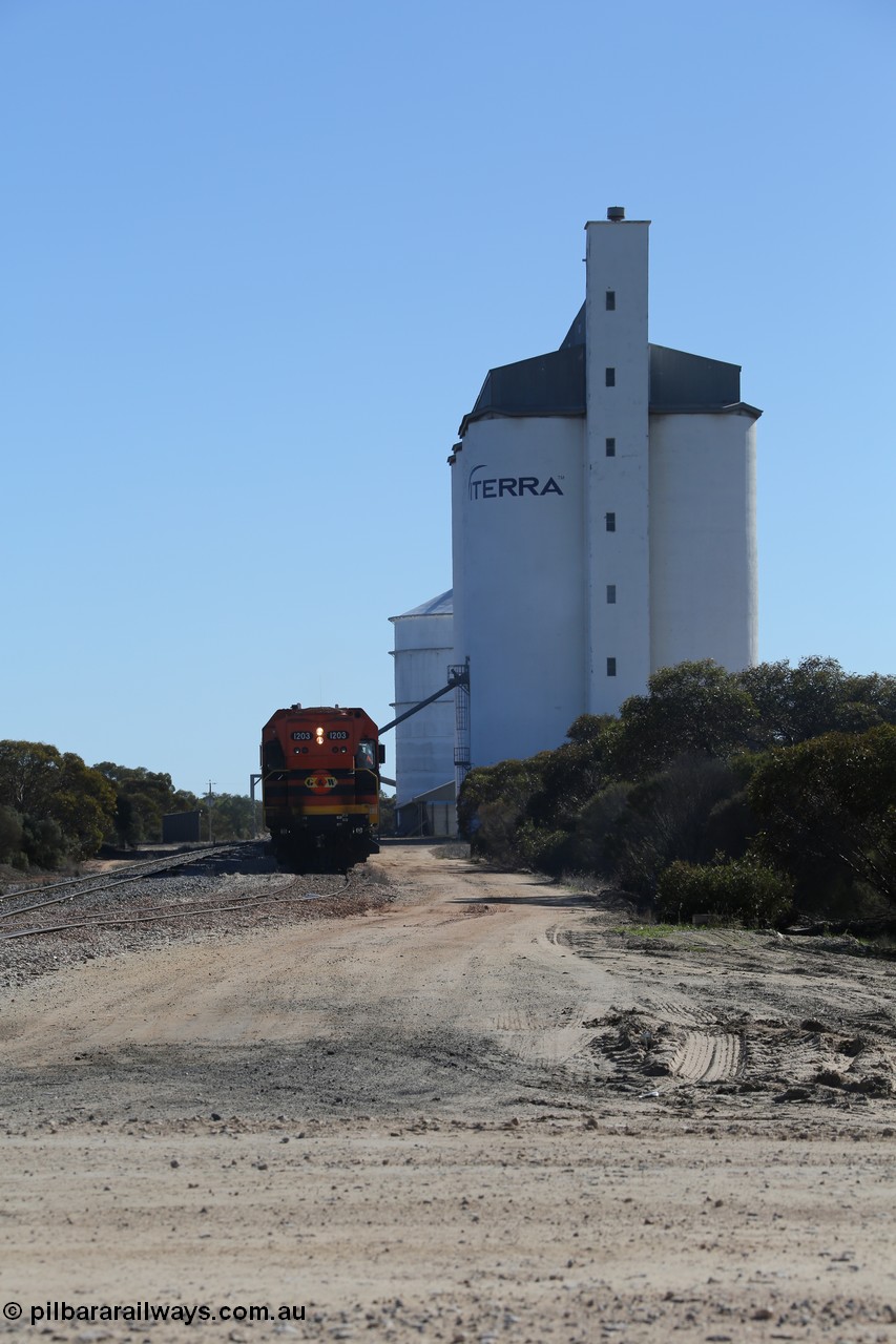 130703 0158
Murdinga, overview of the station yard looking north, Mallee style shelter train control building on the left, grain train loading on the siding, eight cell concrete grain silo complex with Ascom single cell behind it. [url=https://goo.gl/maps/LShPNnU33Qbmc1879]Geo location[/url]. 3rd July 2013.

