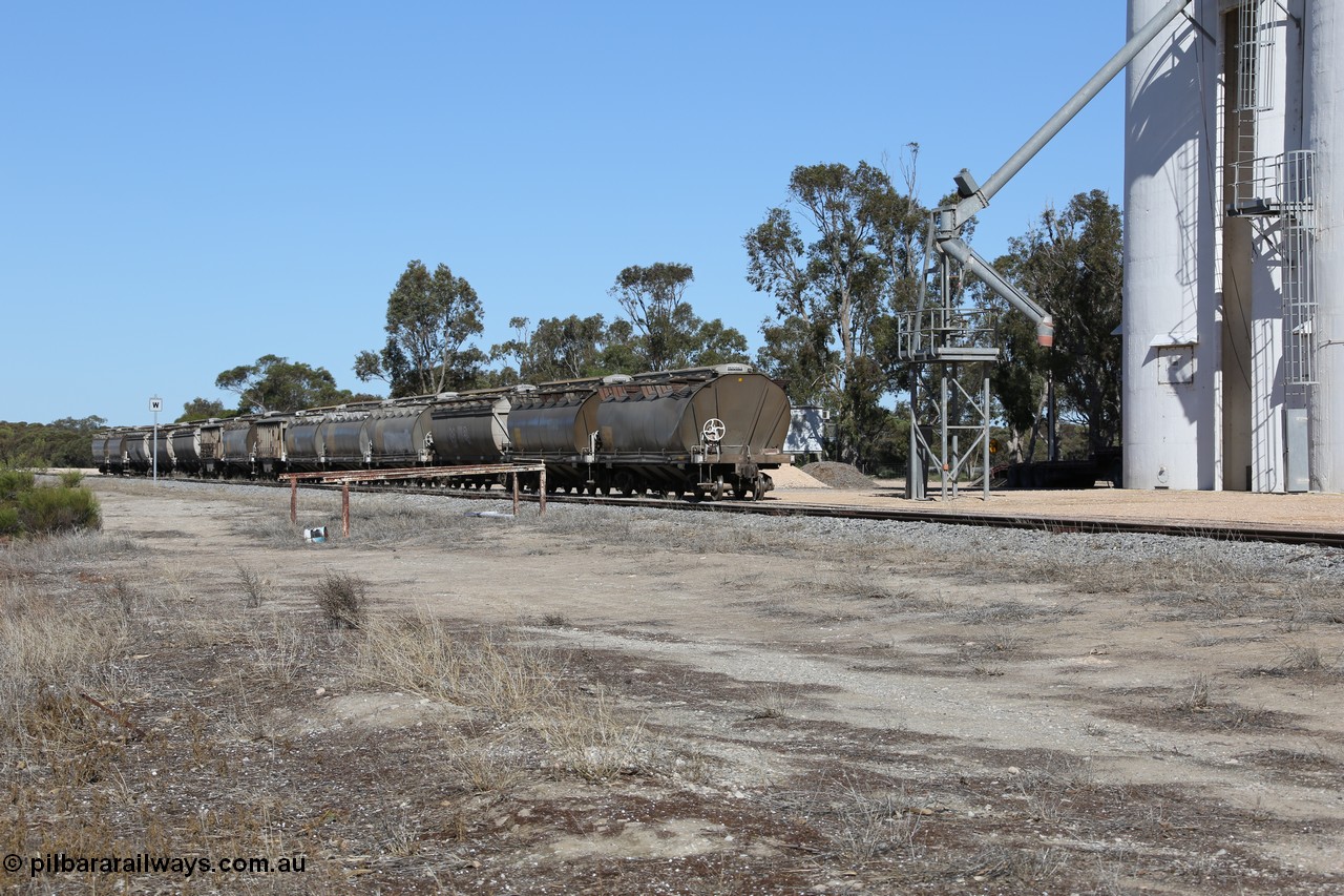 130703 0182
Tooligie, a rake of loaded grain waggons of the HAN, HBN and HCN types awaits collection for the trip to Port Lincoln. 3rd July 2013.

