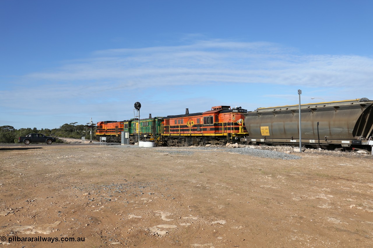 130704 0415
Kyancutta, south bound loaded grain train has stopped here to collect a loaded rack of grain waggons, seen here backing up to re-join the rest of the train on the mainline as it crosses the Eyre Highway grade crossing and one of only three electric signals on the network, behind EMD 1204 and twin ALCo 830 units 873 and 851. 4th July 2013.
Keywords: 830-class;851;AE-Goodwin;ALCo;DL531;84137;