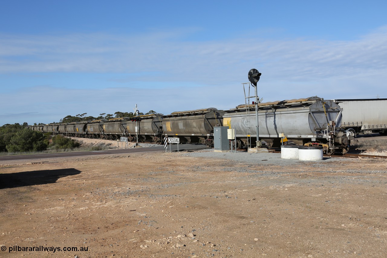 130704 0483
Kyancutta, the rear of a south bound loaded grain as it departs with the final five waggons all HCN type bogie grain hoppers converted by SAR Islington Workshops from Tulloch Ltd NSW built NHB type hopper waggons as they cross the Eyre Highway grade crossing and one of the three electric searchlight signals on the network. 4th July 2013.
Keywords: HCN-type;HCN40;SAR-Islington-WS;rebuild;Tulloch-Ltd-NSW;NHB-type;NHB1596;