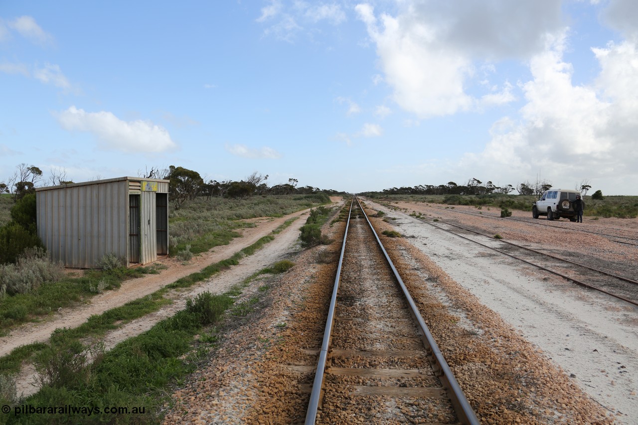 130704 0489
Moule, yard overview looking west, Moule located at the 445.6 km was opened in February 1966 when the Direct Line between Ceduna and Kevin was opened. From the left is the Mallee style shelter shed, mainline, crossing loop and ballast siding. [url=https://goo.gl/maps/KTtpy7LJB4tmHaTt6]Location is here[/url]. 4th July 2013.
