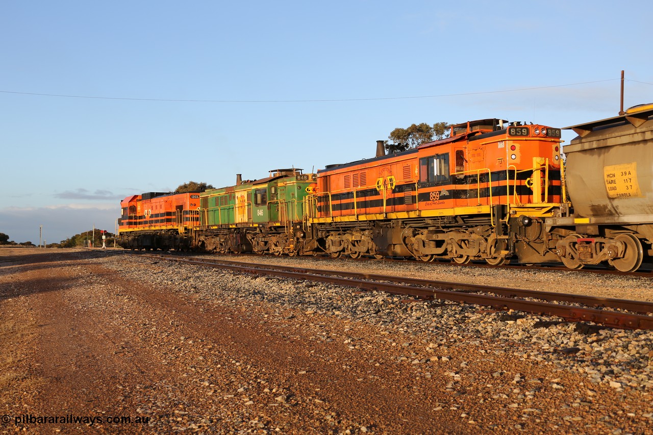 130705 0523
Lock, 1203, 846 and 859 shunt their loading grain train out of the siding onto the mainline. Genesee & Wyoming locomotive AE Goodwin ALCo model DL531 unit 859 'City of Port Lincoln' serial 84705, built in 1963, 859 started life at Peterborough, spent some years in Tasmania and even spent time in Perth on standard gauge in 2002 before being repainted and transferred to the Eyre Peninsula system in 2003. 5th of July 2013.
Keywords: 830-class;859;AE-Goodwin;ALCo;DL531;84705;