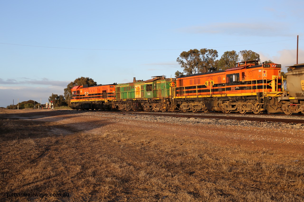 130705 0527
Lock, 1203, 846 and 859 shunt their loading grain train out of the siding onto the mainline. Genesee & Wyoming locomotive AE Goodwin ALCo model DL531 unit 859 'City of Port Lincoln' serial 84705, built in 1963, 859 started life at Peterborough, spent some years in Tasmania and even spent time in Perth on standard gauge in 2002 before being repainted and transferred to the Eyre Peninsula system in 2003. 5th of July 2013.
Keywords: 830-class;859;AE-Goodwin;ALCo;DL531;84705;
