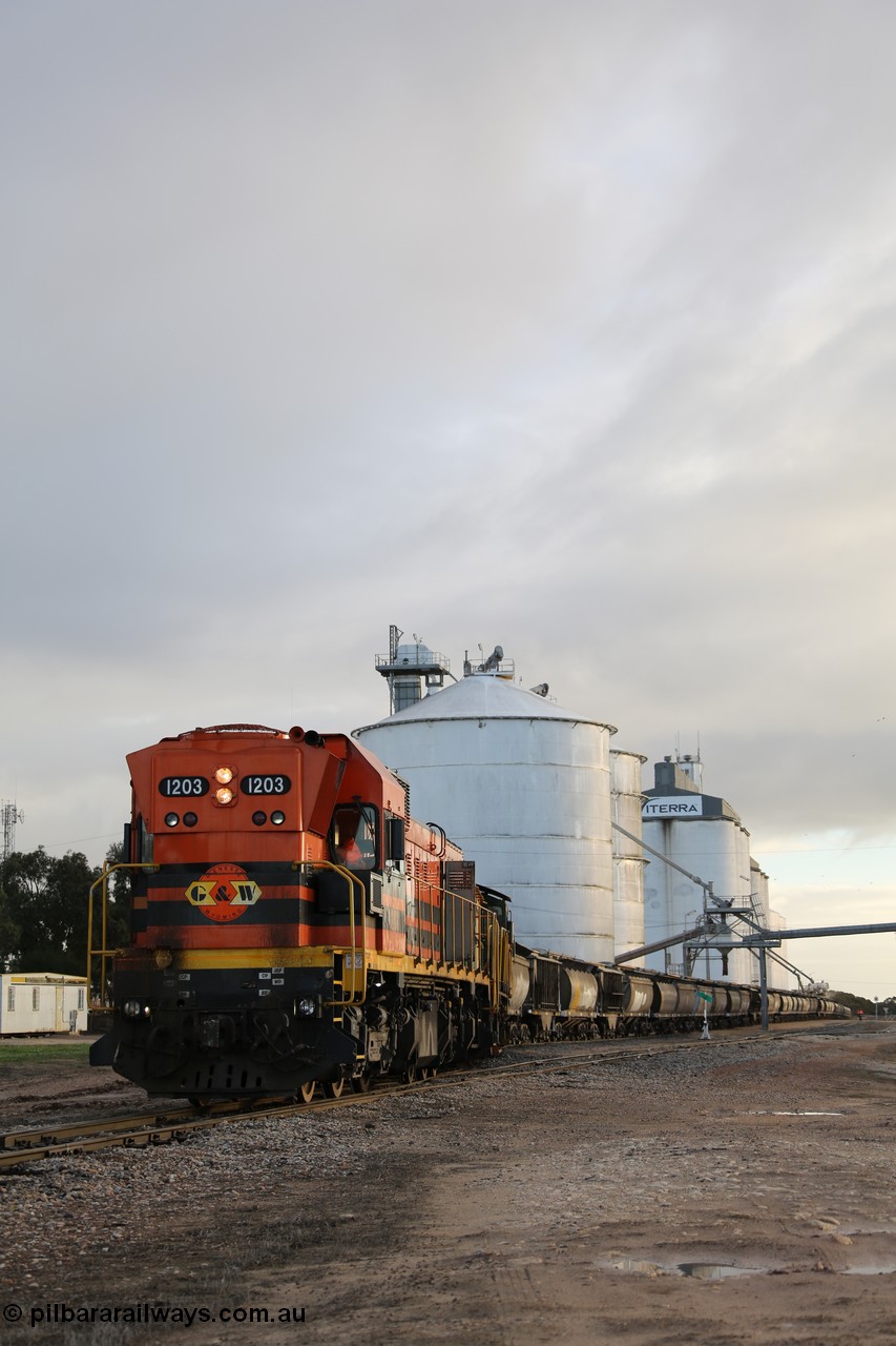 130705 0542
Lock, grain train loading in progress with the Viterra fast flow auger in the distance, the train with 1203, 846 and 859 is about to split and shunt half the consist onto the mainline. 5th of July 2013.
Keywords: 1200-class;1203;Clyde-Engineering-Granville-NSW;EMD;G12C;65-427;A-class;A1513;