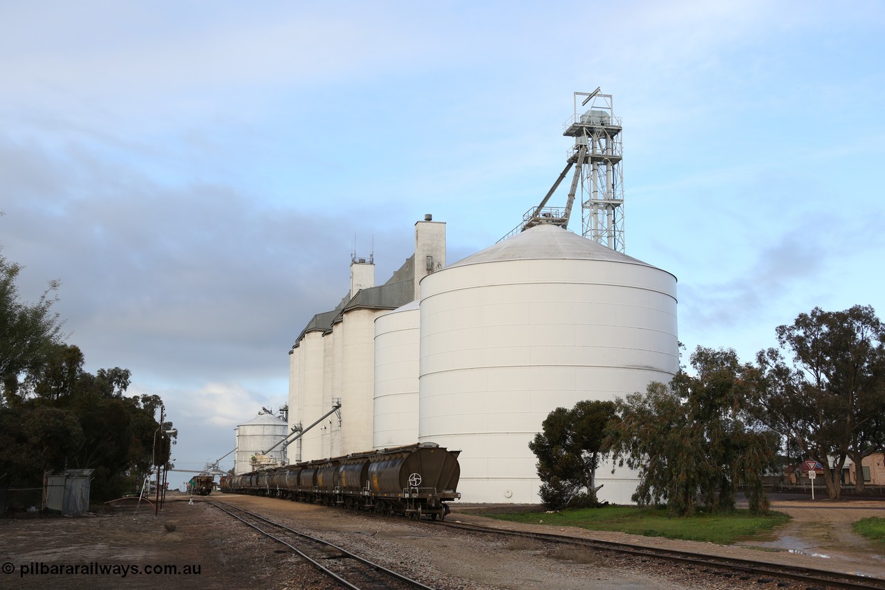 130705 0594
Lock, down end looking up towards Port Lincoln with the four silo blocks on the right, from the furthest, #5, #1, #2 and #3. The horizontal bunker #4 is on the left but obscured by the trees. Loading is continuing on the #1 goods siding while the loaded rake is on the mainline.
