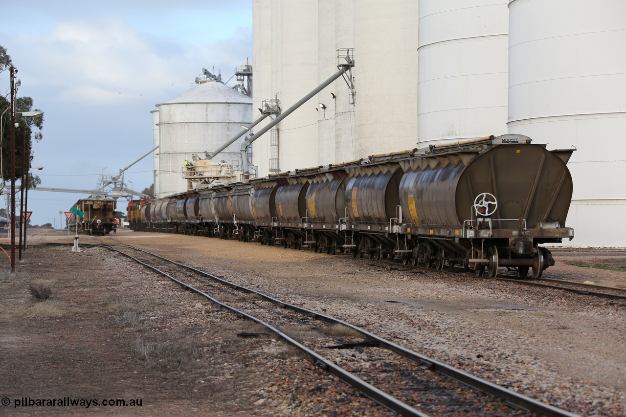 130705 0596
Lock, down end looking up towards Port Lincoln with the four silo blocks on the right, from the furthest, #5, #1, #2 and #3. The horizontal bunker #4 is on the left but obscured by the trees. Loading is continuing on the #1 goods siding while the loaded rake is on the mainline.
