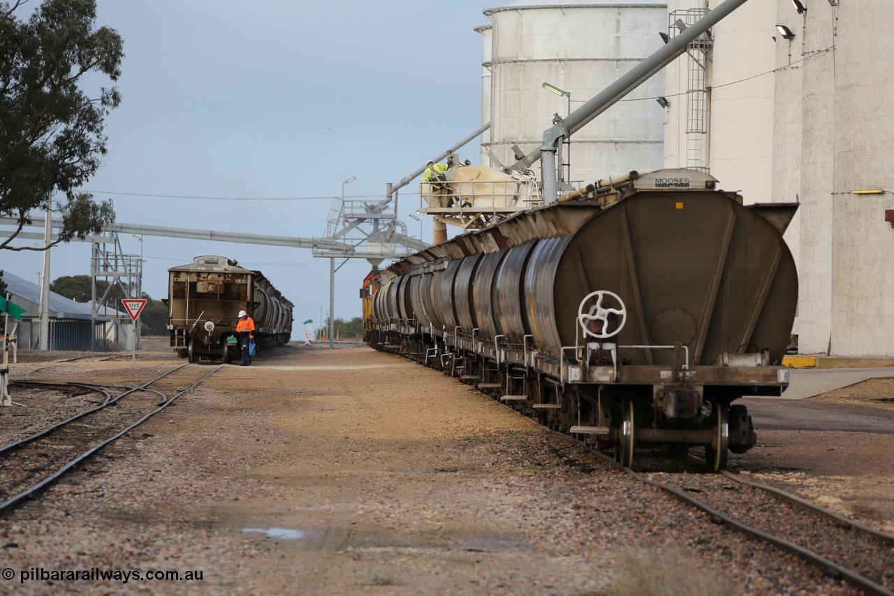 130705 0599
Lock, down end looking up towards Port Lincoln with silo blocks #5 and #1 with loading taking place, the horizontal bunker #4 is on the left where the overhead augers are going. Loaded portion sitting on the mainline.
