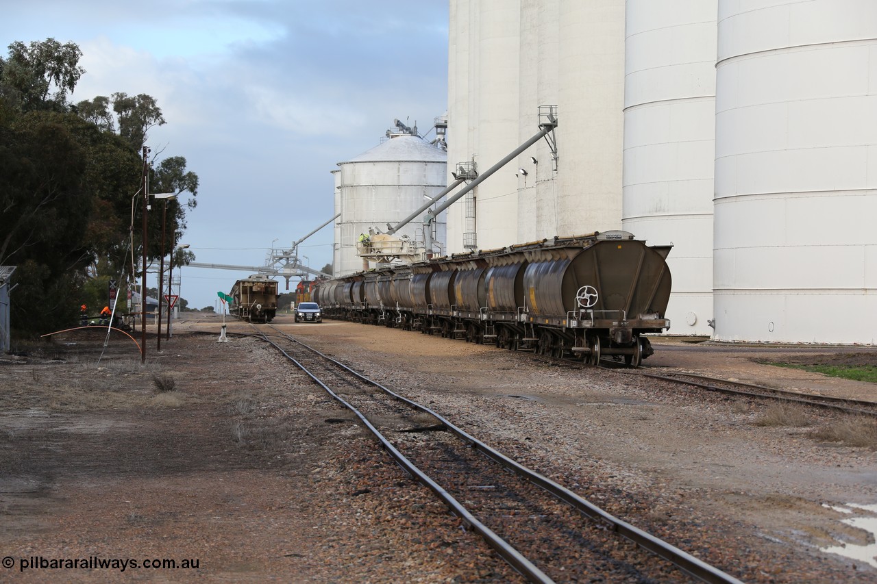 130705 0602
Lock, down end looking up towards Port Lincoln with silo blocks #5 and #1 with loading taking place, the horizontal bunker #4 is on the left where the overhead augers are going. Loaded portion sitting on the mainline.
