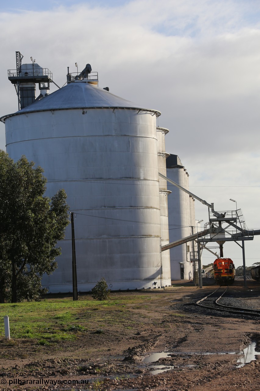 130705 0609
Lock, up end looking down through Lock, Ascom silo block #5 on the left, Viterra fast loader loading train while loaded portion sits on the mainline.

