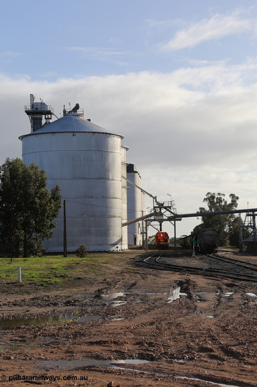 130705 0611
Lock, up end looking down through Lock, Ascom silo block #5 on the left, Viterra fast loader loading train while loaded portion sits on the mainline.
