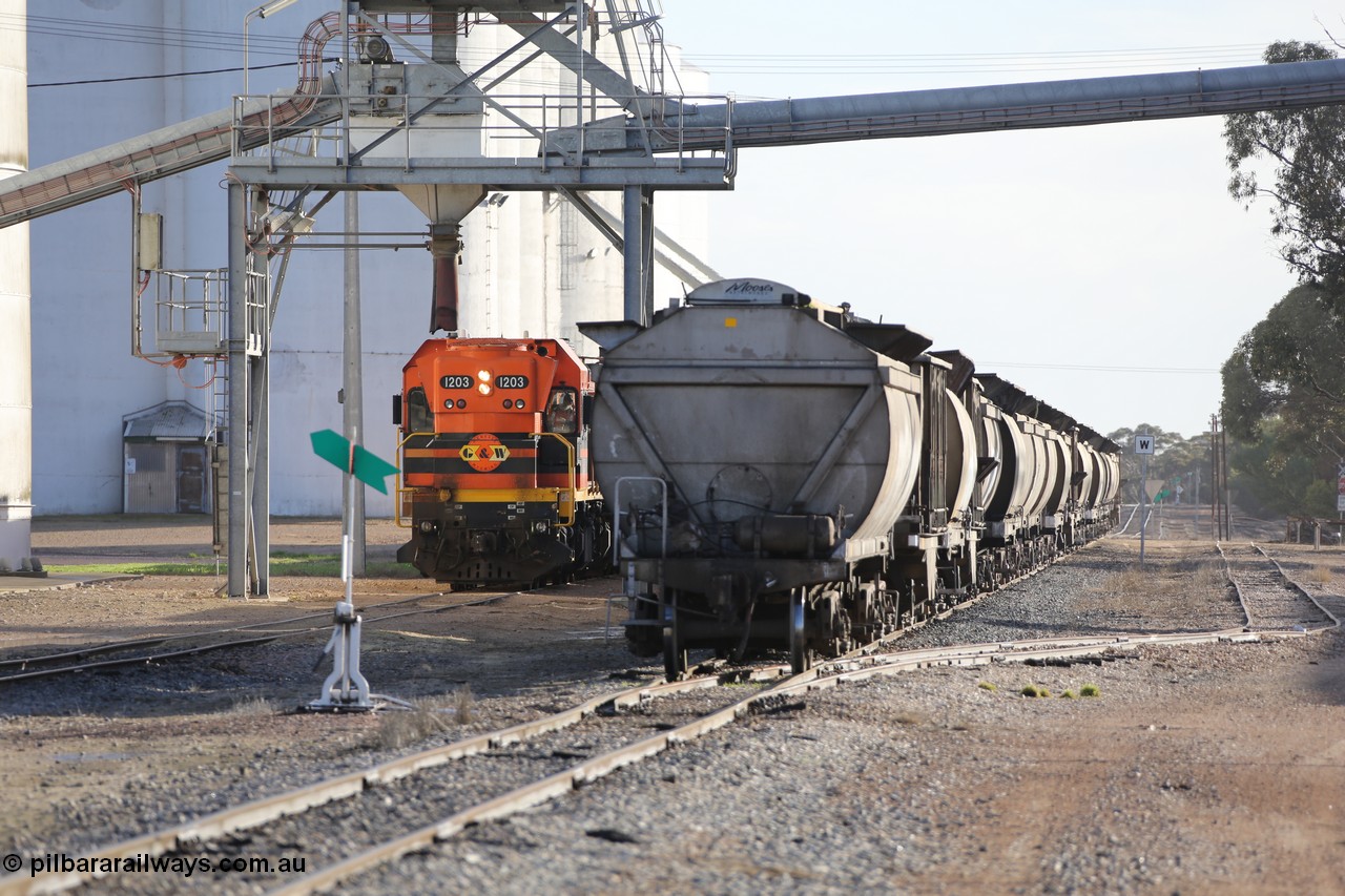 130705 0612
Lock, with loading finished, 1203 leads the final portion along goods siding #1 as it prepares to shunt back onto the loaded portion on the mainline for departure to Port Lincoln.
