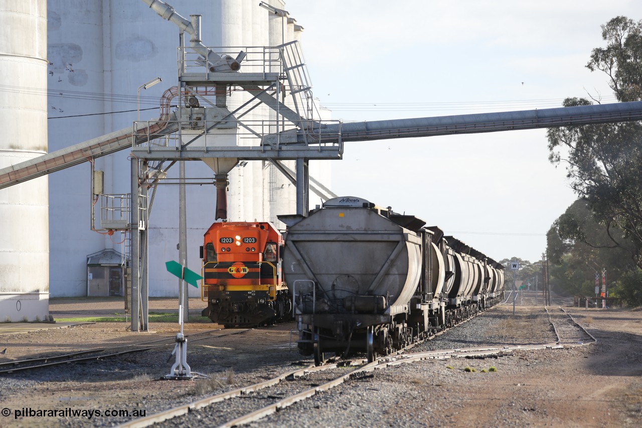 130705 0613
Lock, with loading finished, 1203 leads the final portion along goods siding #1 as it prepares to shunt back onto the loaded portion on the mainline for departure to Port Lincoln.
