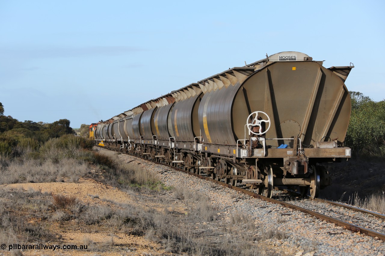 130705 0628
Lock, with loading finished, 1203 leads 846, 859 and the final portion out along the mainline out of goods siding #1 as it prepares to shunt back onto the loaded portion on the mainline for departure to Port Lincoln.
