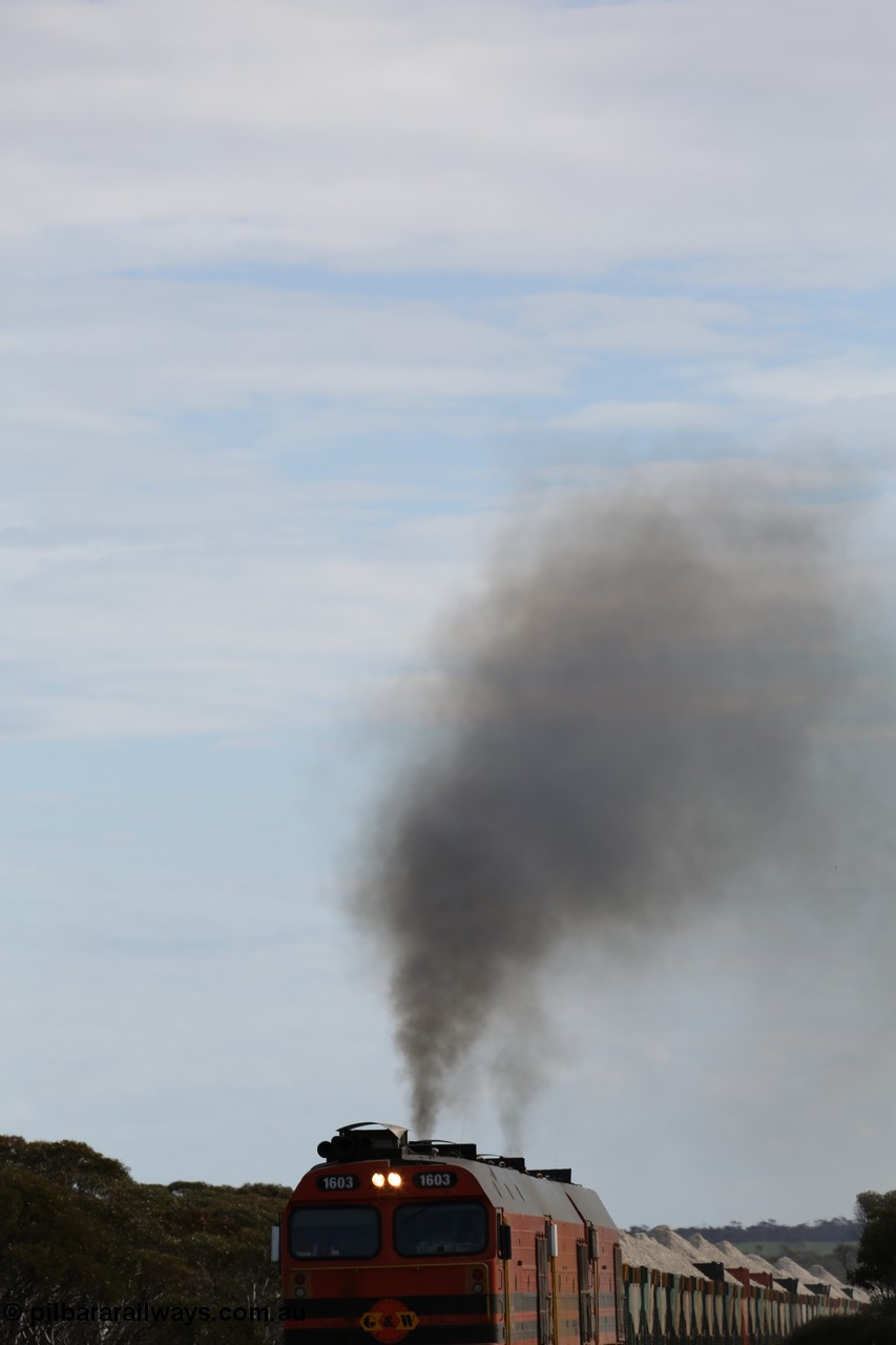 130708 0730
Charra, [url=https://goo.gl/maps/fnkK0]Charoban Rd grade crossing, 477.8 km[/url].
