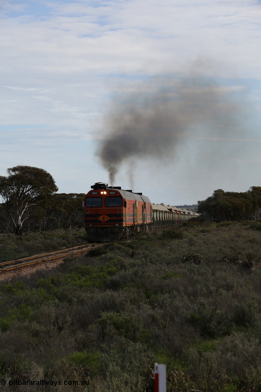 130708 0732
Charra, [url=https://goo.gl/maps/fnkK0]Charoban Rd grade crossing, 477.8 km[/url].
