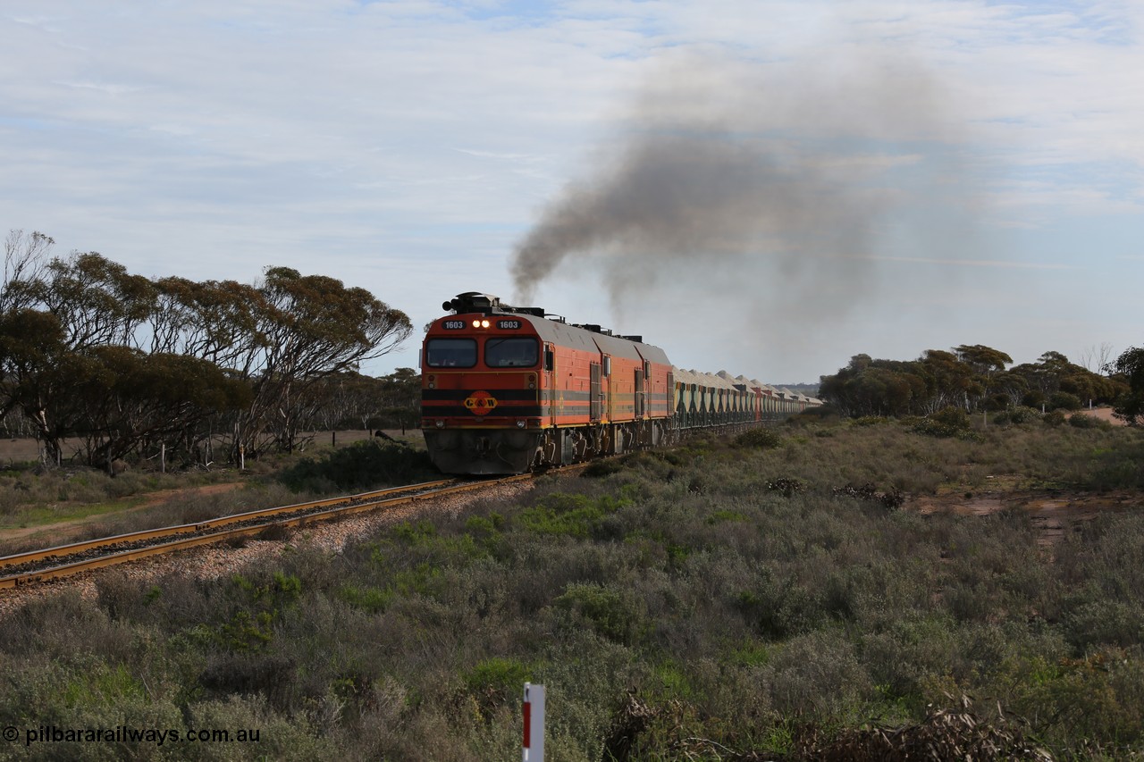 130708 0733
Charra, [url=https://goo.gl/maps/fnkK0]Charoban Rd grade crossing, 477.8 km[/url].
