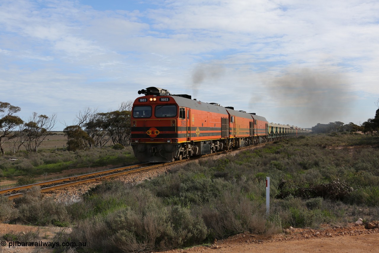 130708 0738
Charra, [url=https://goo.gl/maps/fnkK0]Charoban Rd grade crossing, 477.8 km[/url].
