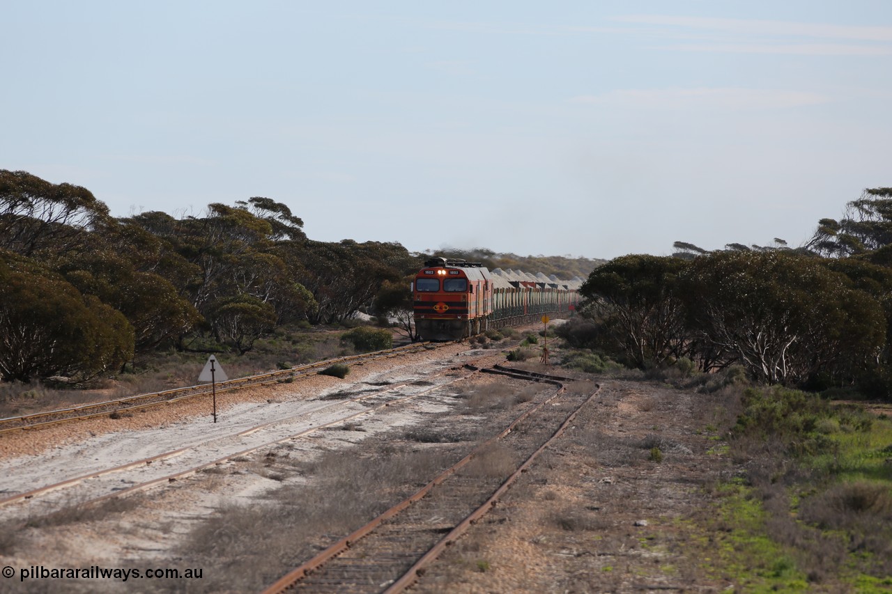 130708 0786
Charra, [url=https://goo.gl/maps/GuXC0]crossing loop, 466.2 km[/url].
