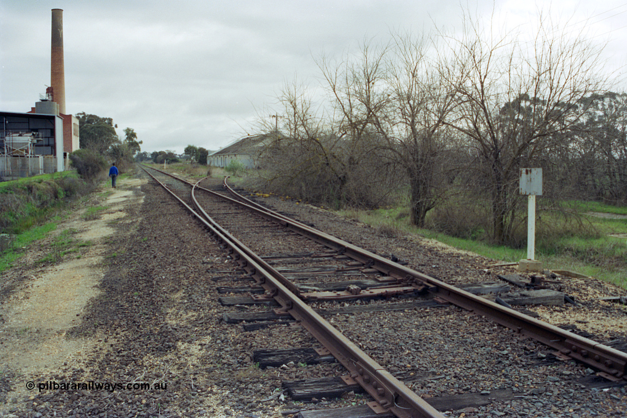 107-03
Kyabram track view, Kyabram Fruit Packers siding points spiked for normal, packing shed on the right, Southern Can Company on the left.
