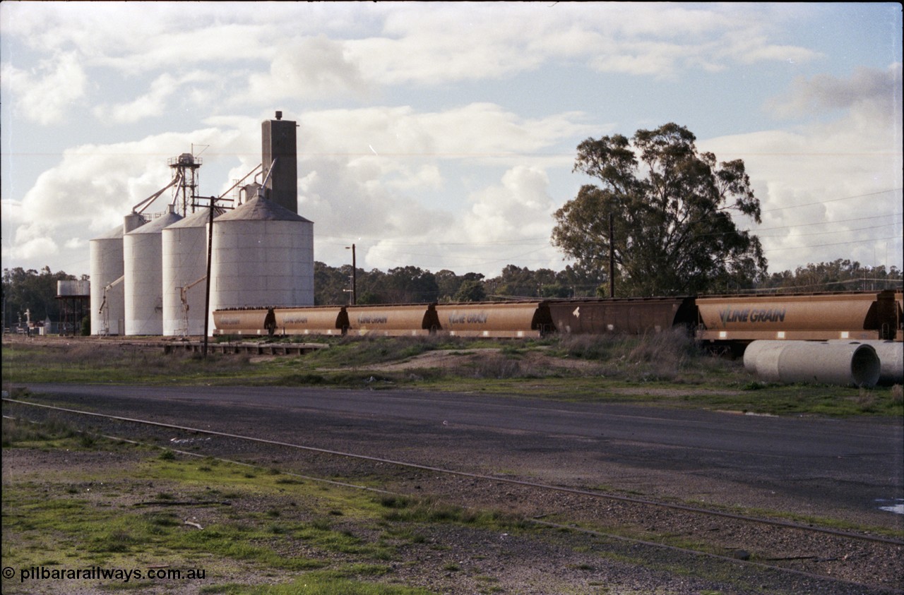 107-32
Echuca station yard view, V/Line Grain broad gauge VHGF type bogie grain waggons on No.4 Rd, former goods shed platform visible, two styles of Ascom silo complex and water tank in background.
Keywords: VHGF-type;