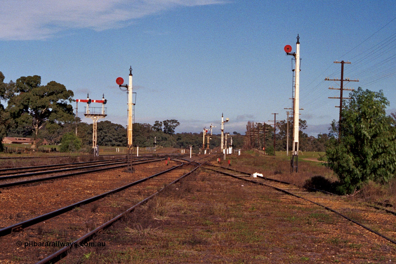 109-18
Avenal station yard overview, looking south, just prior to rationalisation, still fully signalled and interlocked, semaphore signal post 4 and disc signal posts 7 and 8 facing the camera, semaphore and disc signal post 2, 3, 4 and 5 visible in the distance, point indicators.
