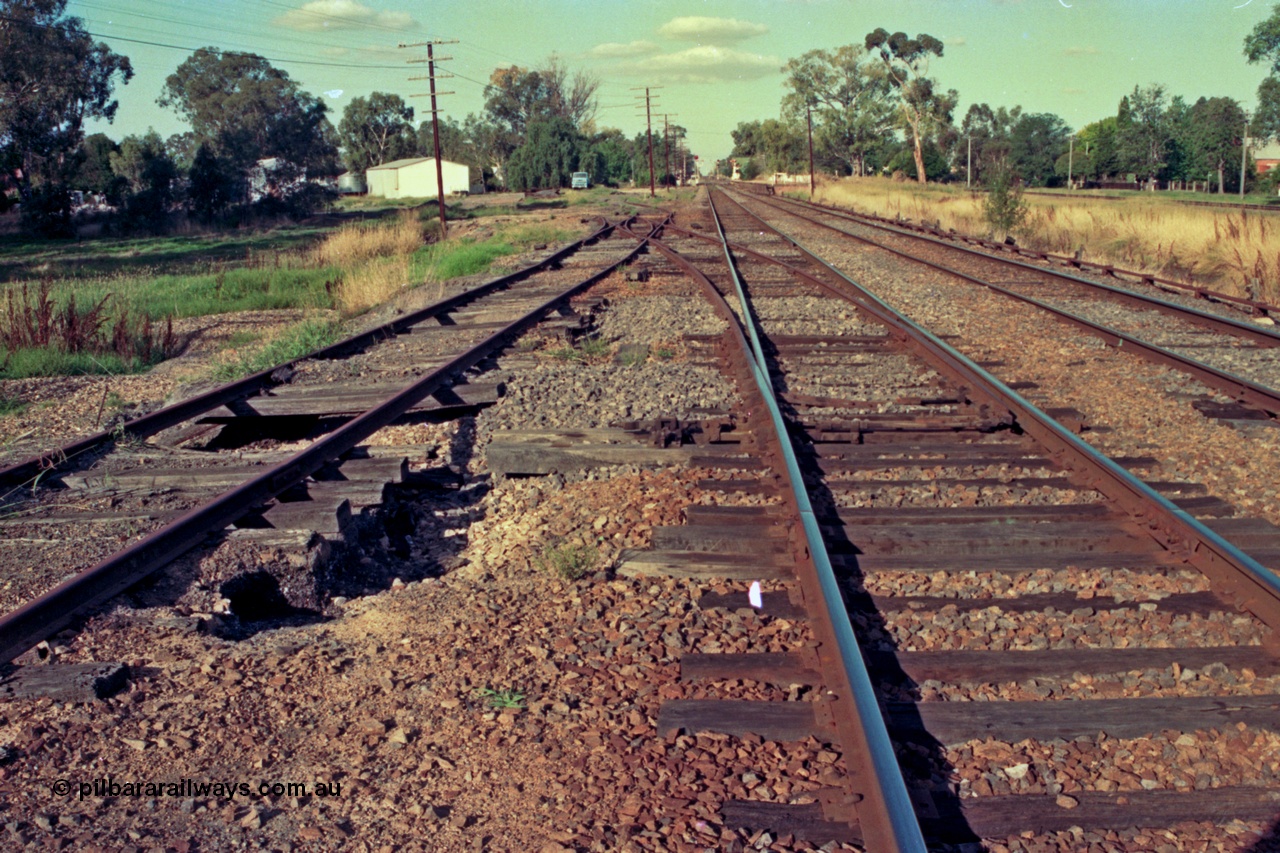 112-02
Violet Town broad gauge track view, looking north, Siding B at left, points leading to yard have been spiked normal, point rodding at right and standard gauge line at far right, March 1994.
