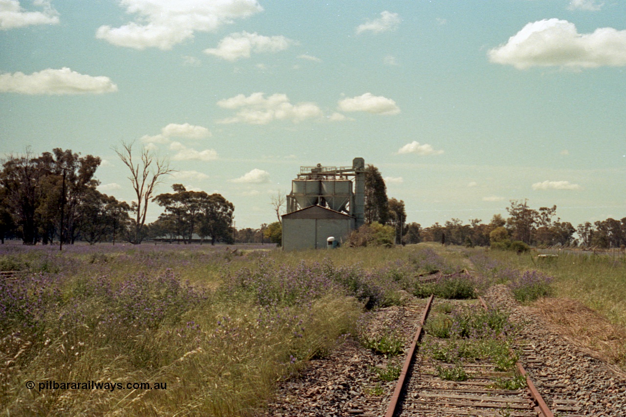 114-15
Tocumwal station yard, looking north, standard gauge track?
