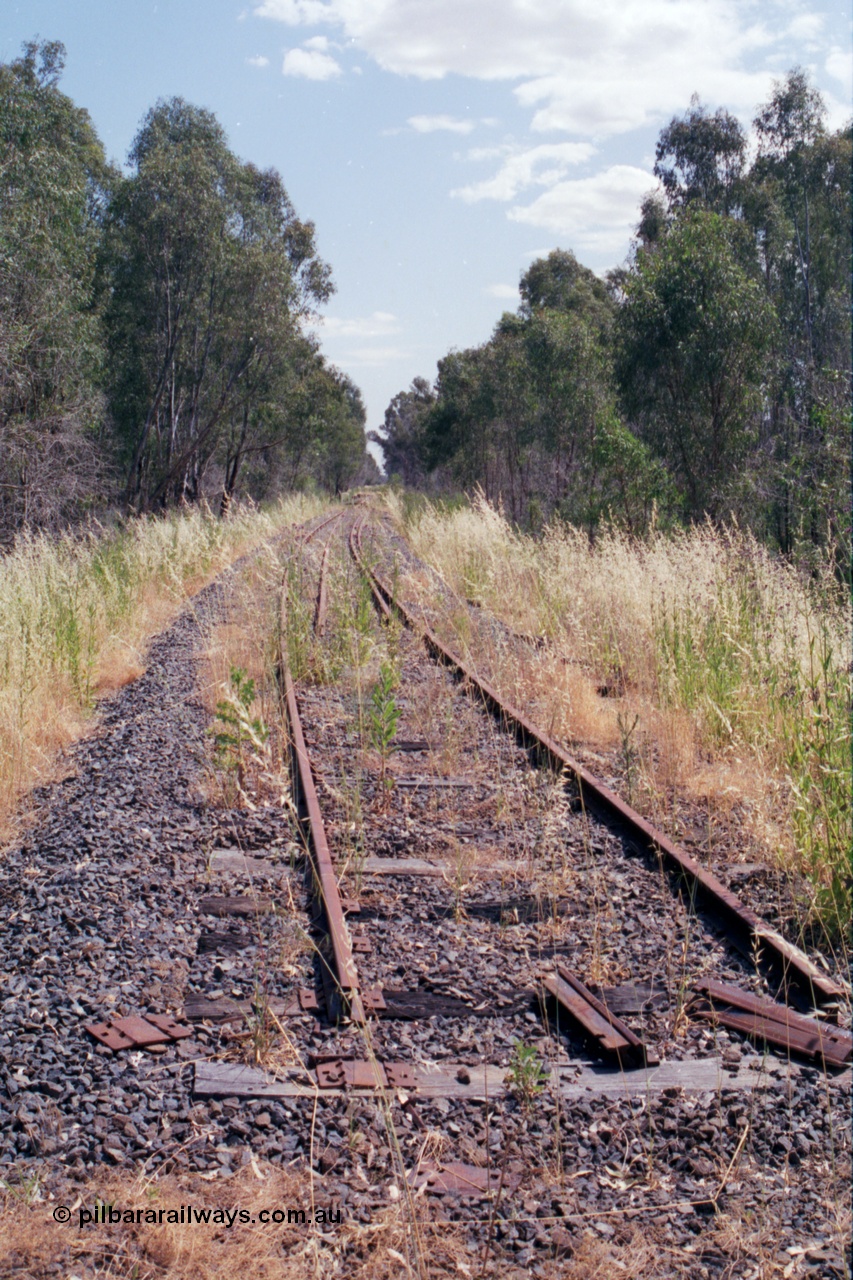 118-15
Tocumwal line, track view, looking south from bridge in shot 118-13 and -14, line out of service. [url=https://goo.gl/maps/Hvzxa15CUzFiCYKL6]Geo data[/url].
