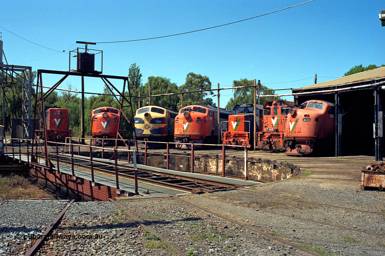 122-13
Traralgon loco depot, turntable and pit, roundhouse, V/Line broad gauge locos are all Clyde Engineering EMD models; T class T 396 model G8B serial 65-426, A class A 77 model AAT22C-2R serial 83-1181 rebuilt from B class B 77 model ML2 serial ML2-18, B class B 75 serial ML2-16 still in VR livery, A class A 81 serial 85-1189 rebuilt from B 81 serial ML2-22, T class T 381 model G8B serial 64-336, Y class Y 168 model G6B serial 68-588 and A class A 78 serial 84-1185 rebuilt from B class B 78 serial ML2-19, March 1992.
