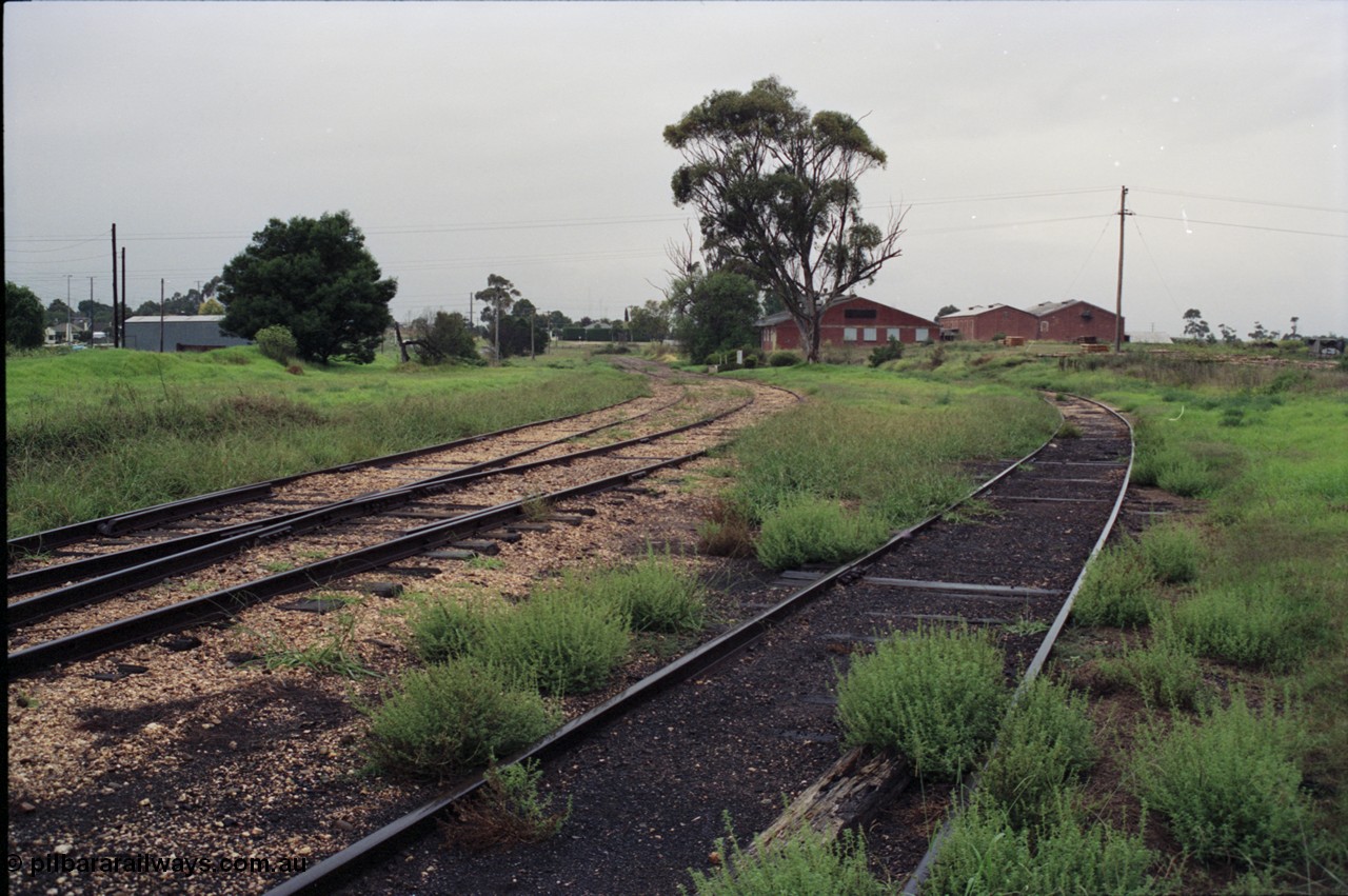 123-2-10
Maffra yard overview, Sidings A, Milk Co-op buildings.
