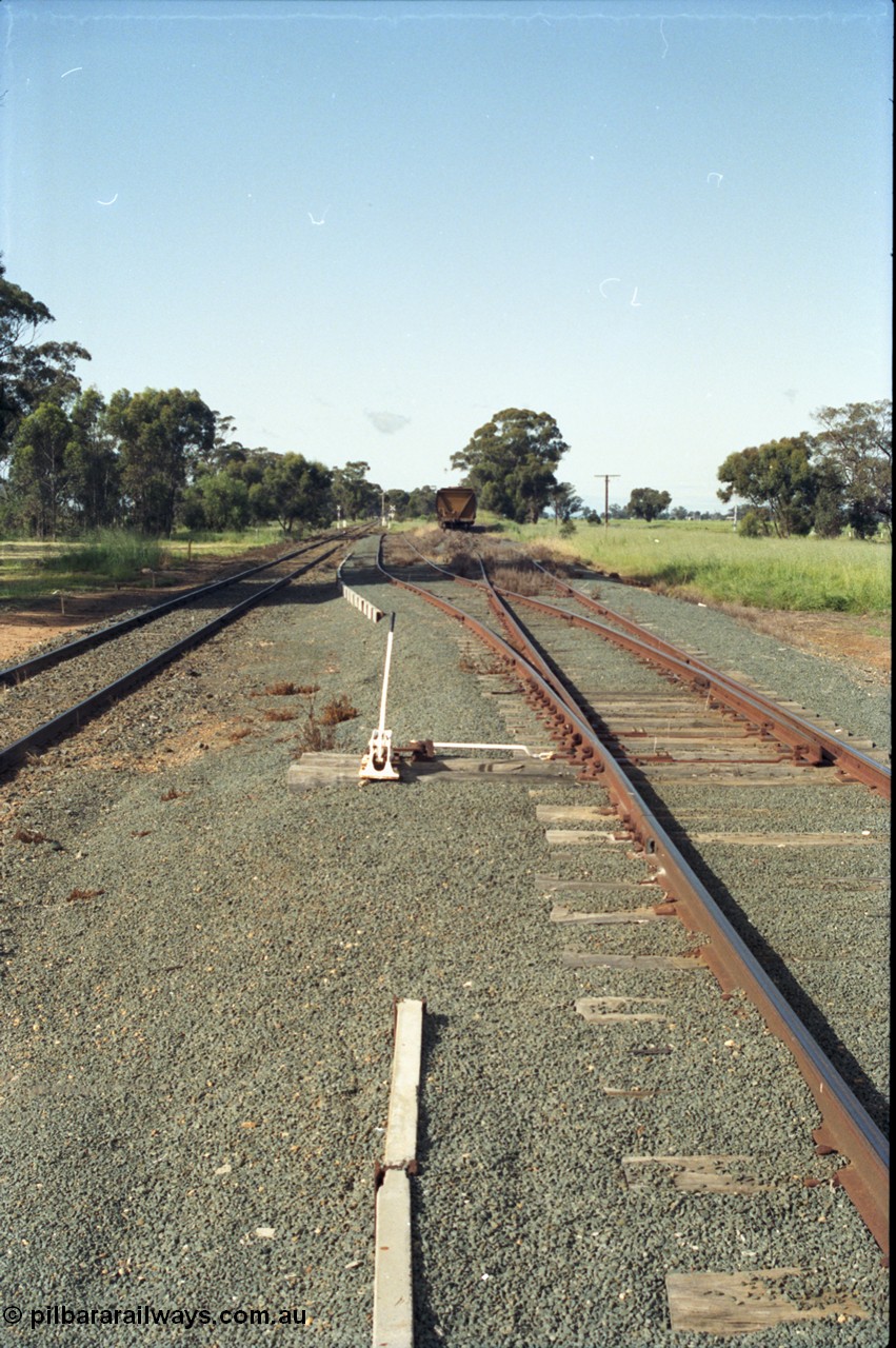 130-04
Elmore yard view, looking south, shows gravity roads for grain loading, grain waggon in distance, points and lever.
