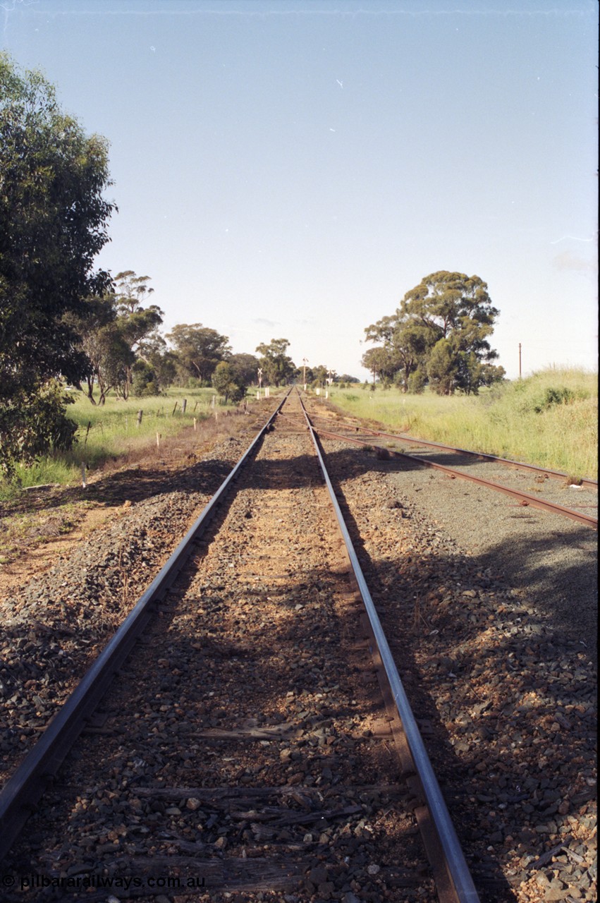 130-05
Elmore track view, looking south, towards Melbourne, end of yard at right.
