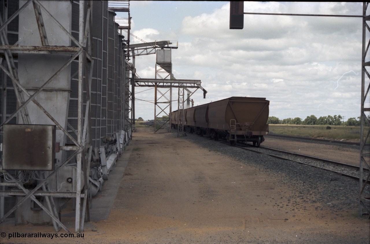 131-2-03
Burraboi grain waggons being loaded, Burraboi, south end of Aquila silo complex.
