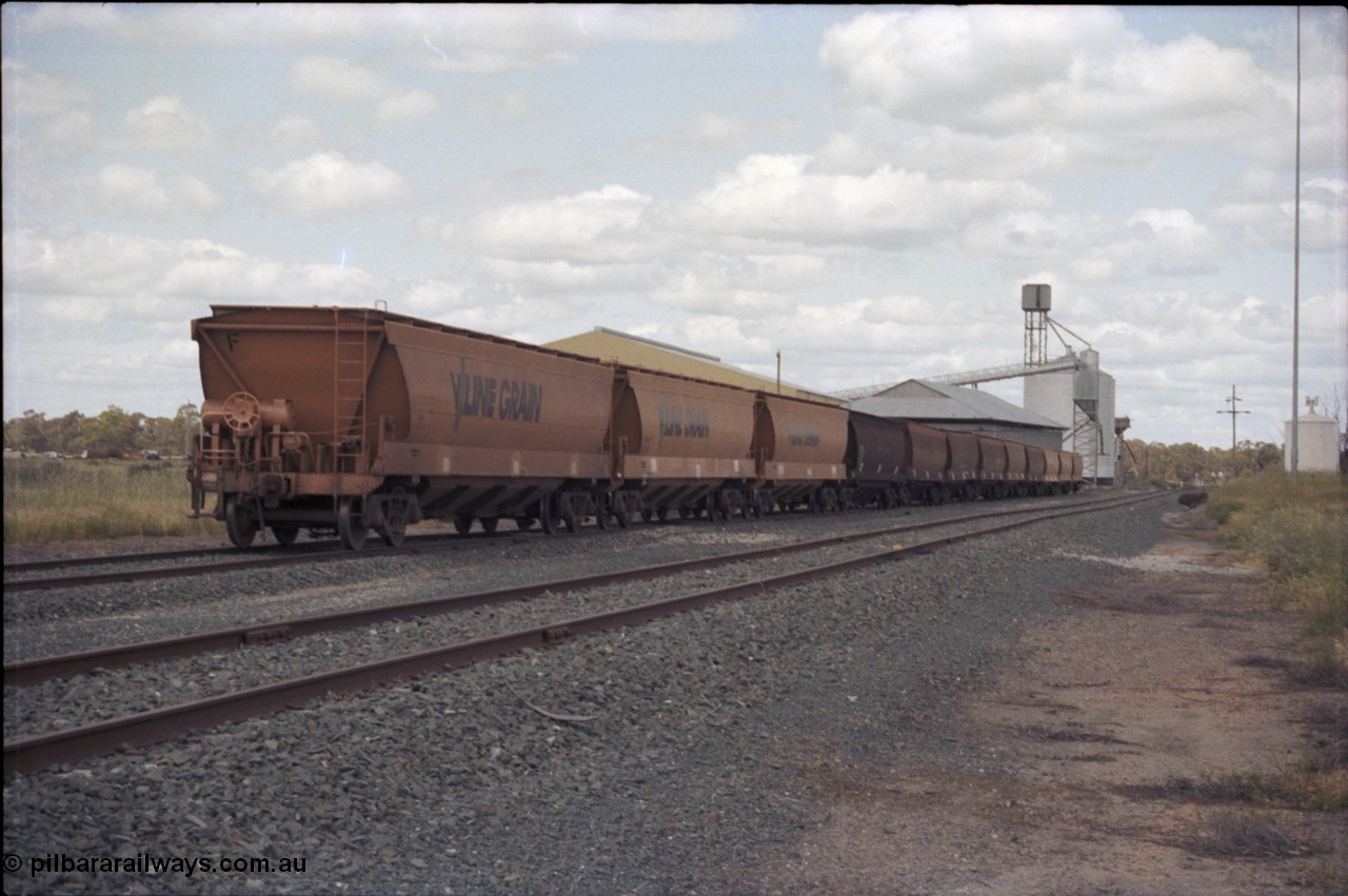 131-2-08
Moulamein, broad gauge V/Line Grain bogie grain waggons, Ascom silo complex, looking south.
