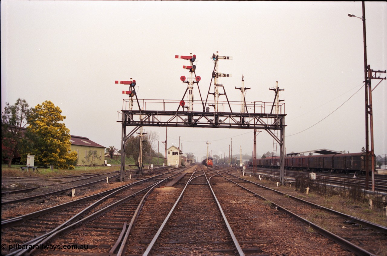 142-1-22
Benalla station yard overview from the Yarrawonga line double compound points looking south, signal gantry has disc posts 23 and 24 stripped and post 25 partially stripped, signal post 27 is stripped, workshops at left, B signal box, station and stabled goods train 9303 in the background.
