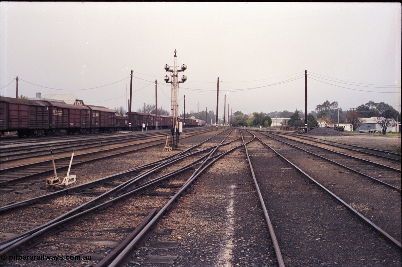142-1-29
Benalla station yard overview, looking south, goods yard, end of Dock D, 4, 5 and 6 Roads to the left of disc signal post 12, point levers for double compound points, goods train is stabled 9303 Wodonga goods.
