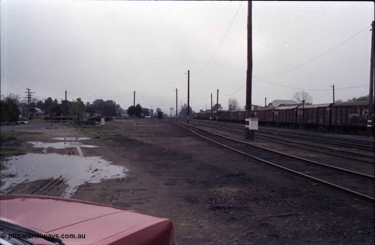 142-1-36
Benalla yard overview looking north down the goods yard, removed siding is evident, stabled Wodonga goods train 9303 at right
