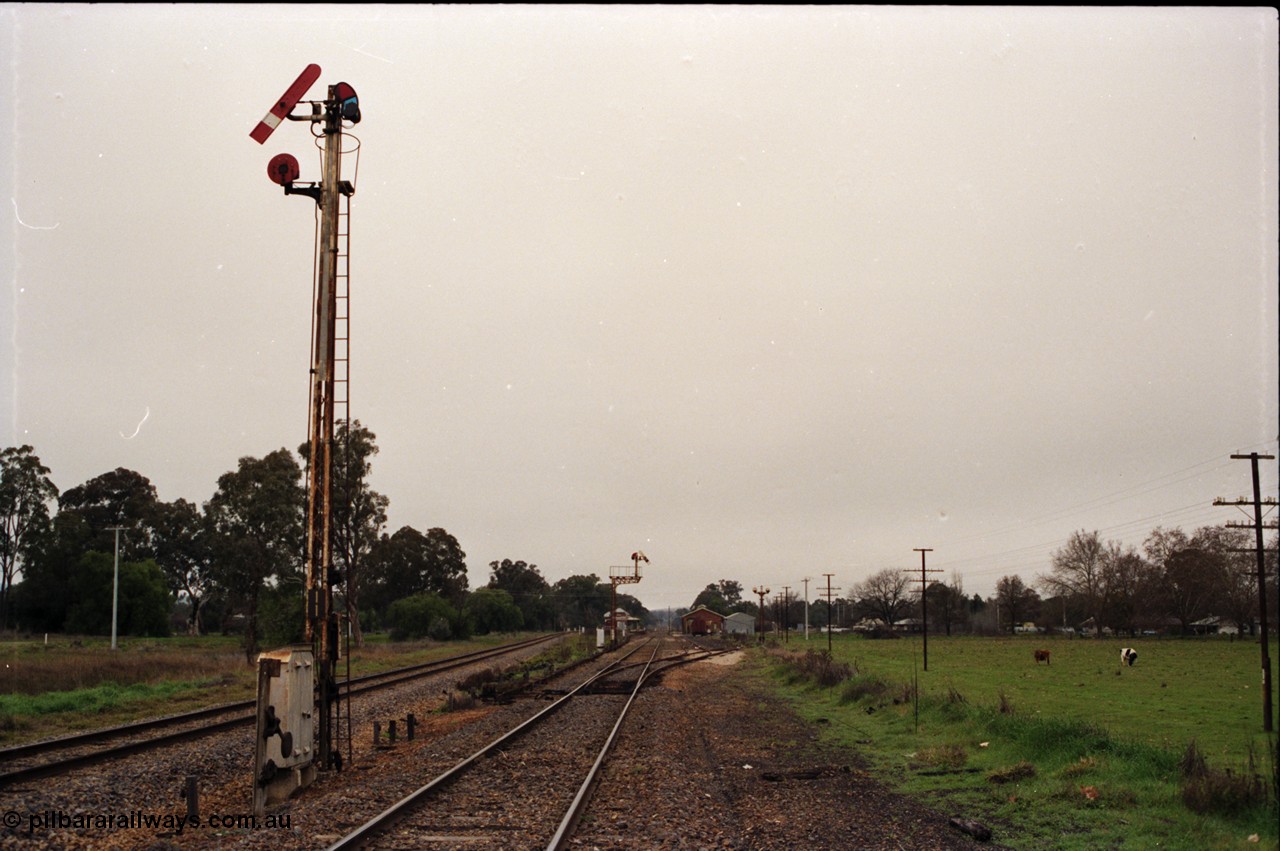 142-2-08
Barnawartha station building and yard overview looking south from the north end, standard gauge line at left, semaphore signal posts 11 and 10 pulled off indicating the signal box is switched out, station building, good shed and super phosphate shed visible in the distance.
