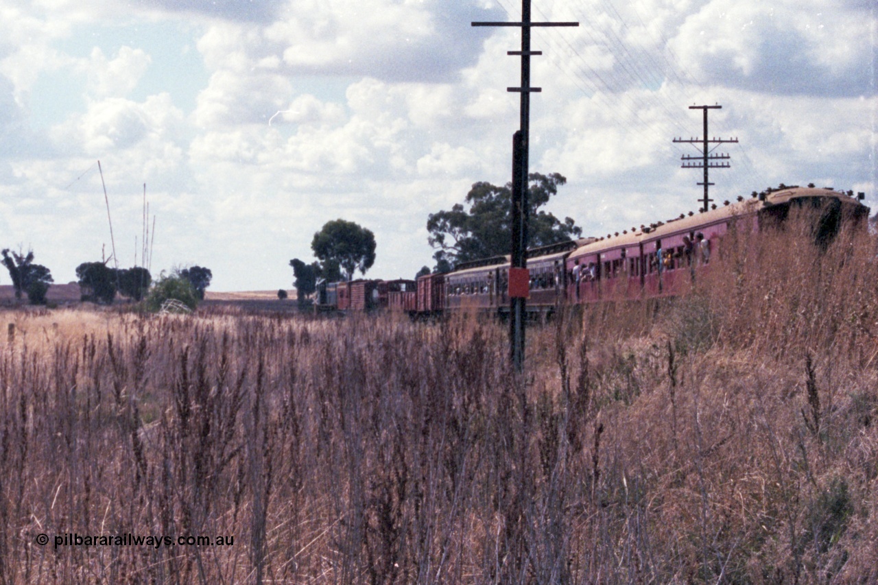 143-17
Springhurst, broad gauge VR liveried Y class Y 133 Clyde Engineering EMD model G6B serial 65-399 leads the down Wahgunyah mixed 'Stringybark Express' special away from Springhurst as it runs around the curve bound for Lilliput.
Keywords: Y-class;Y133;Clyde-Engineering-Granville-NSW;EMD;G6B;65-399;