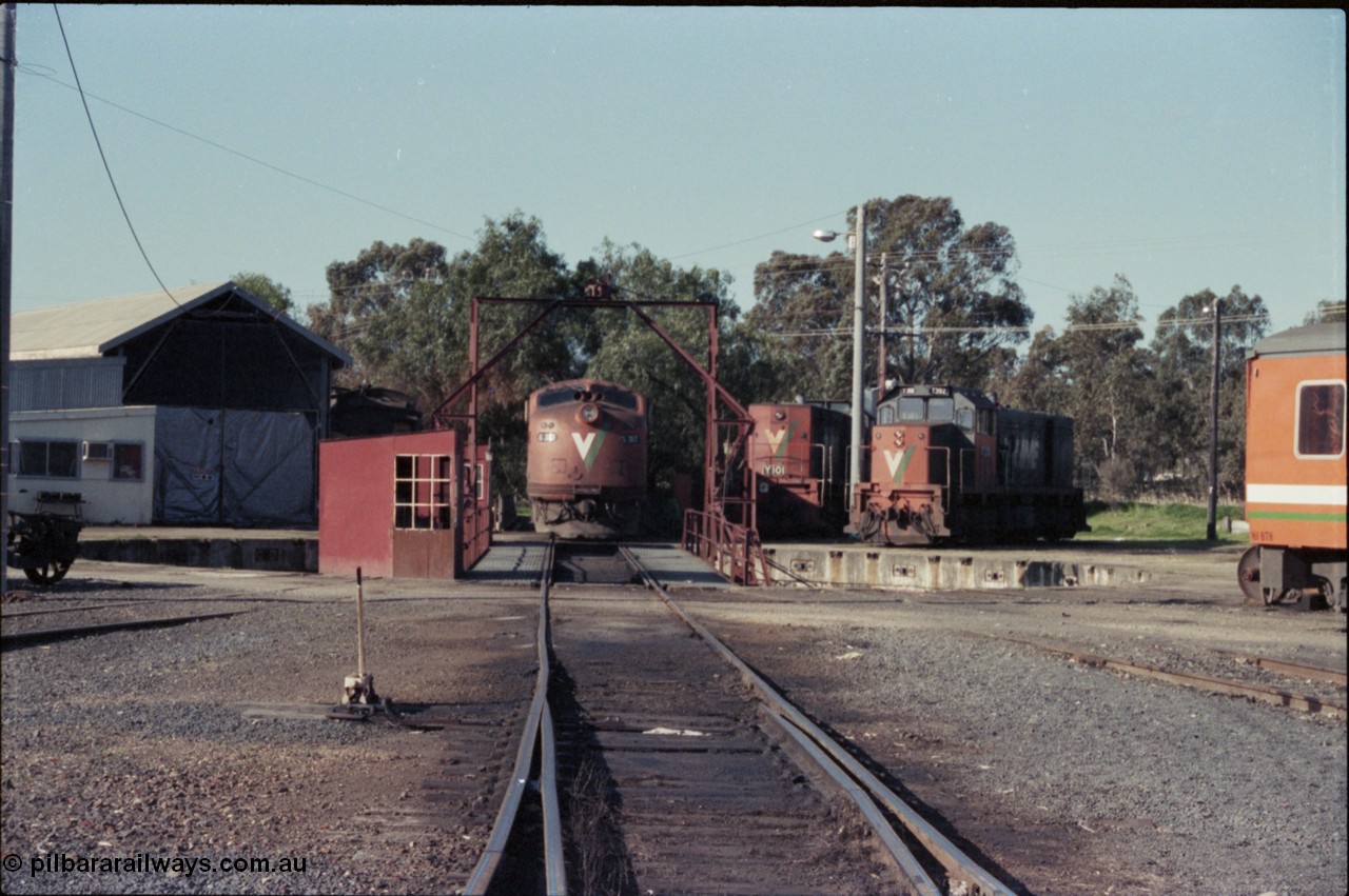 147-07
Seymour loco depot turntable, looking down broad gauge road at V/Line S class S 317 'Sir John Monash' Clyde Engineering EMD model A7 serial 61-240, standard gauge Y class leader Y 101 Clyde Engineering EMD model G6B serial 63-291 and broad gauge T class T 392 a Clyde EMD model G8B serial 65-422.
Keywords: S-class;S317;Clyde-Engineering-Granville-NSW;EMD;A7;61-240;bulldog;