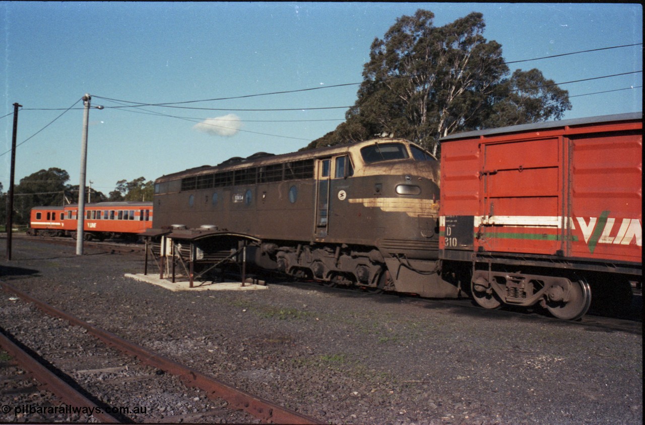 147-17
Seymour loco depot turntable roads, broad gauge Victorian Railways liveried S class S 303 'C J Latrobe' Clyde Engineering EMD model A7 serial 57-167 and V/Line D type louvre van D 310, a couple of dynamic brake grid assemblies are next to S 303.
Keywords: S-class;S303;Clyde-Engineering-Granville-NSW;EMD;A7;57-167;bulldog;
