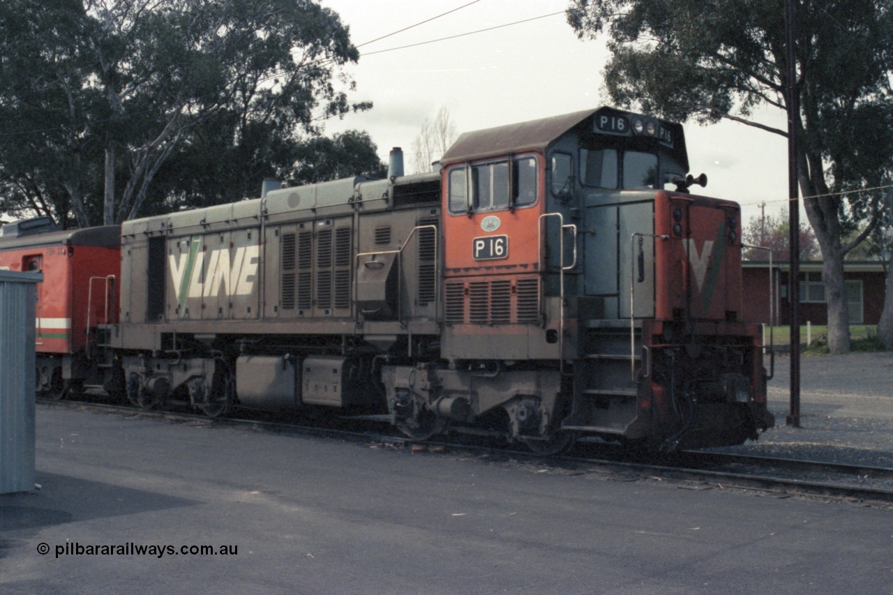 147-31
Seymour loco depot, broad gauge V/Line P class P 16 Clyde Engineering EMD model G18HBR serial 84-1210 rebuilt from T 332 Clyde Engineering EMD model G8B serial 56-99, seen here with a stabled H set FSH 22.
Keywords: P-class;P16;Clyde-Engineering-Somerton-Victoria;EMD;G18HBR;84-1210;rebuild;