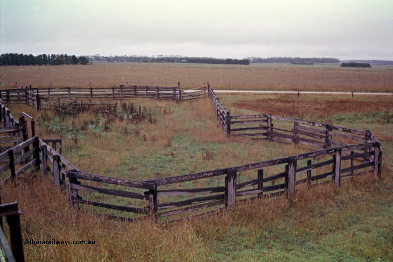 150-27
Lismore, view of cattle holding yard from loading race.
