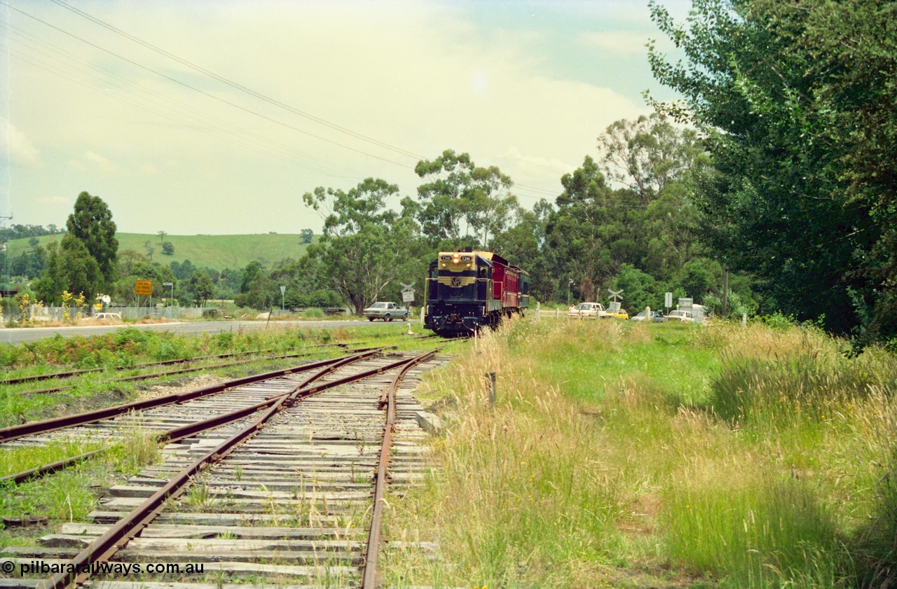 158-03
Healesville, Yarra Valley Tourist Railway operations, overgrown yard view looking towards Yarra Glen, train on grade crossing entering yard behind former Victorian Railways T class T 341 Clyde Engineering EMD model G8B serial 56-120 still in Victorian Railways livery.
Keywords: T-class;T341;Clyde-Engineering-Granville-NSW;EMD;G8B;56-120;