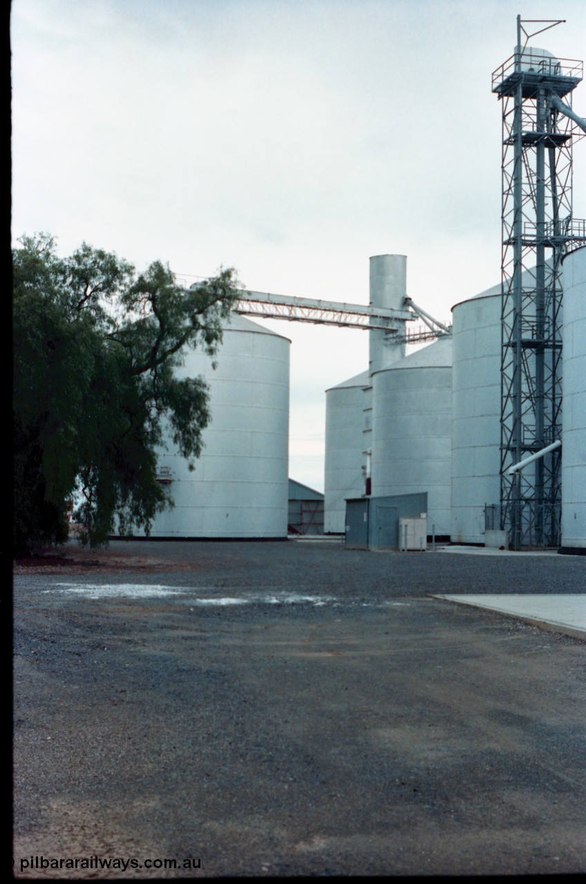 160-12
Murchison East, rear view of Murphy style silo complex with annex, with Ascom style open frame elevator and road receival point at right.
