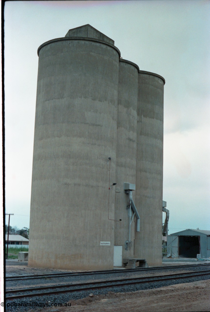 160-33
Tallygaroopna, track view from former station building site looking across tracks to Williamstown style silo complex with train load-out spouts, road receival point behind silos and super phosphate shed at right.
