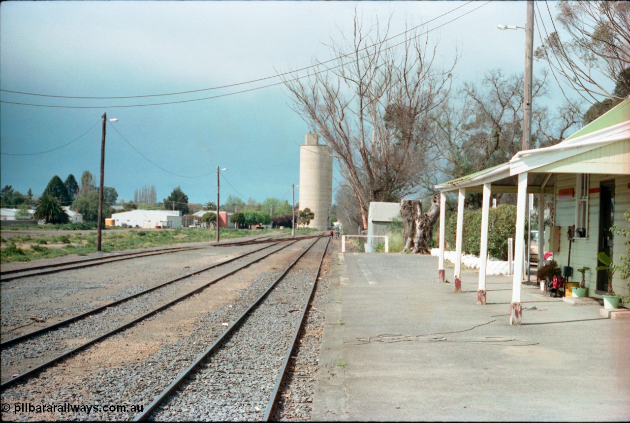 161-21
Cobram, yard overview looking north from station platform, Williamstown style silo complex in the background, station building at right.

